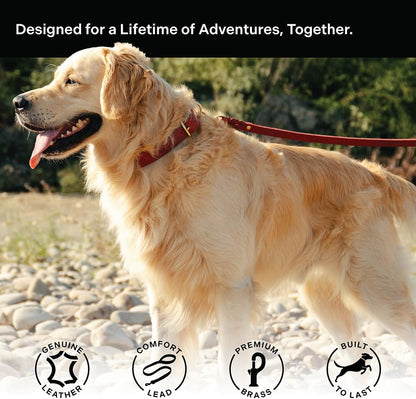 Scout Supply Classic Leather Dog Leash | Strong Heavy Duty Thick Full Grain Leather | Waterproof & Rust-Proof Brass Hardware (Dark Brown, M: 4.5 ft x 1/2 in)