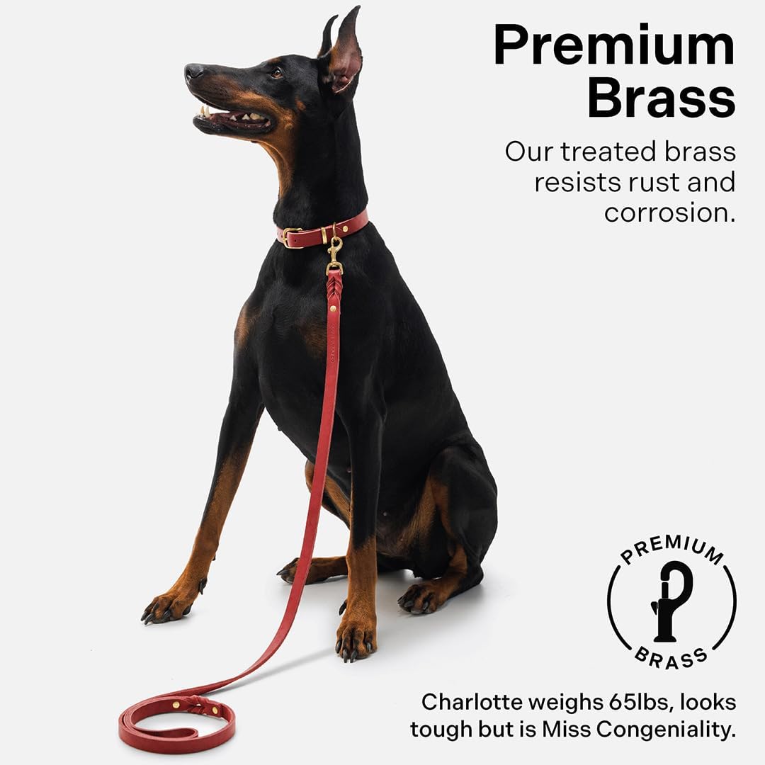 Scout Supply Classic Leather Dog Leash | Strong Heavy Duty Thick Full Grain Leather | Waterproof & Rust-Proof Brass Hardware (Dark Brown, M: 4.5 ft x 1/2 in)