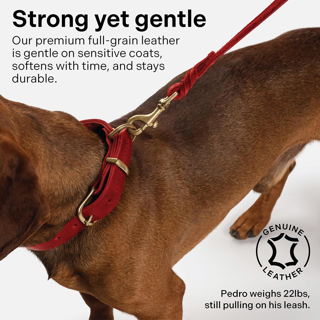 Scout Supply Classic Leather Dog Leash | Strong Heavy Duty Thick Full Grain Leather | Waterproof & Rust-Proof Brass Hardware (Dark Brown, M: 4.5 ft x 1/2 in)