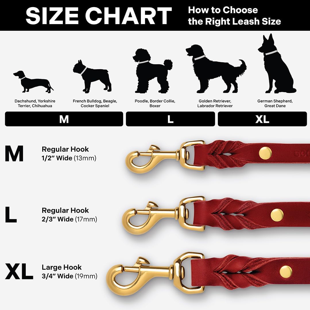 Scout Supply Classic Leather Dog Leash | Strong Heavy Duty Thick Full Grain Leather | Waterproof & Rust-Proof Brass Hardware (Dark Brown, M: 4.5 ft x 1/2 in)