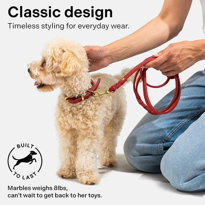 Scout Supply Classic Leather Dog Leash | Strong Heavy Duty Thick Full Grain Leather | Waterproof & Rust-Proof Brass Hardware (Dark Brown, M: 4.5 ft x 1/2 in)