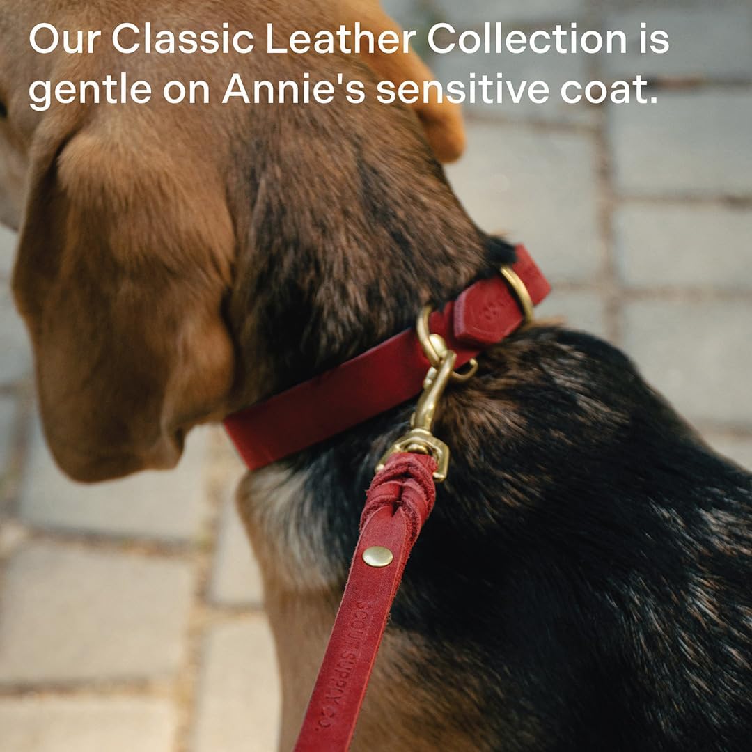 Scout Supply Classic Leather Dog Leash | Strong Heavy Duty Thick Full Grain Leather | Waterproof & Rust-Proof Brass Hardware (Dark Brown, M: 4.5 ft x 1/2 in)