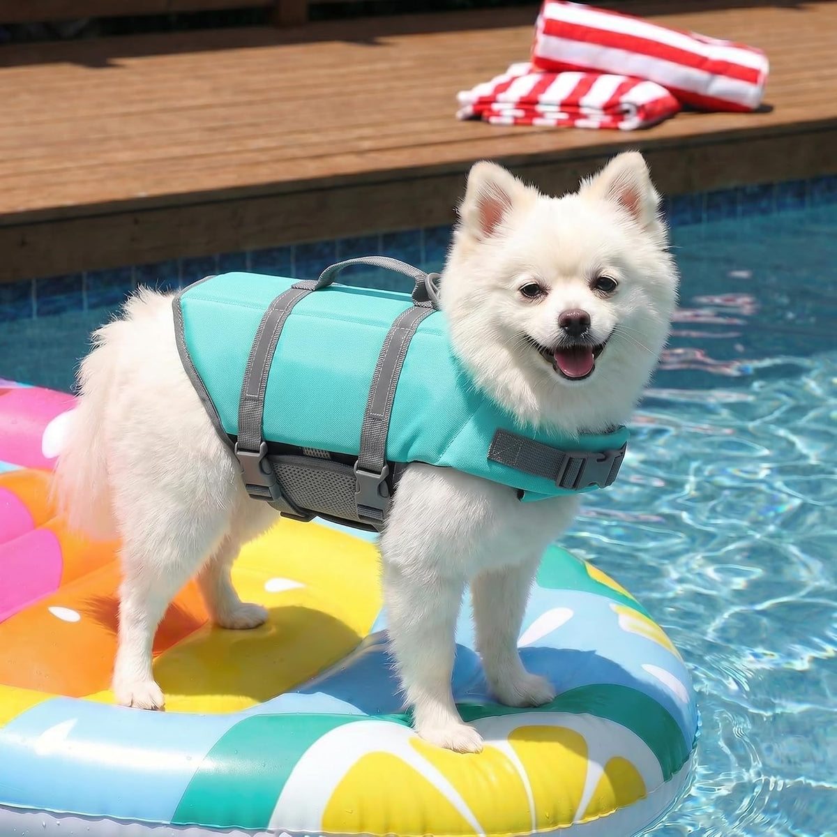 Dog Life Jacket with Rescue Handle, Dog Life Vest for Swimming Boating, Adjustable Reflective Puppy Swim Vest with Superior Buoyancy for Small Medium Large Dogs