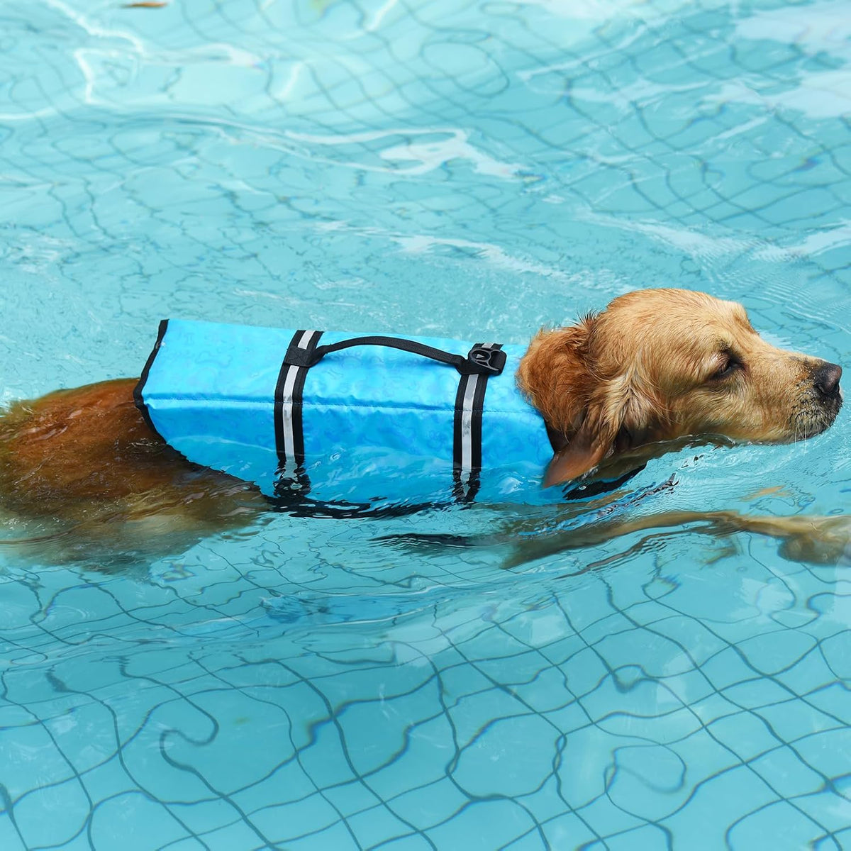 Dog Life Jacket with Rescue Handle, Dog Life Vest for Swimming Boating, Adjustable Reflective Puppy Swim Vest with Superior Buoyancy for Small Medium Large Dogs
