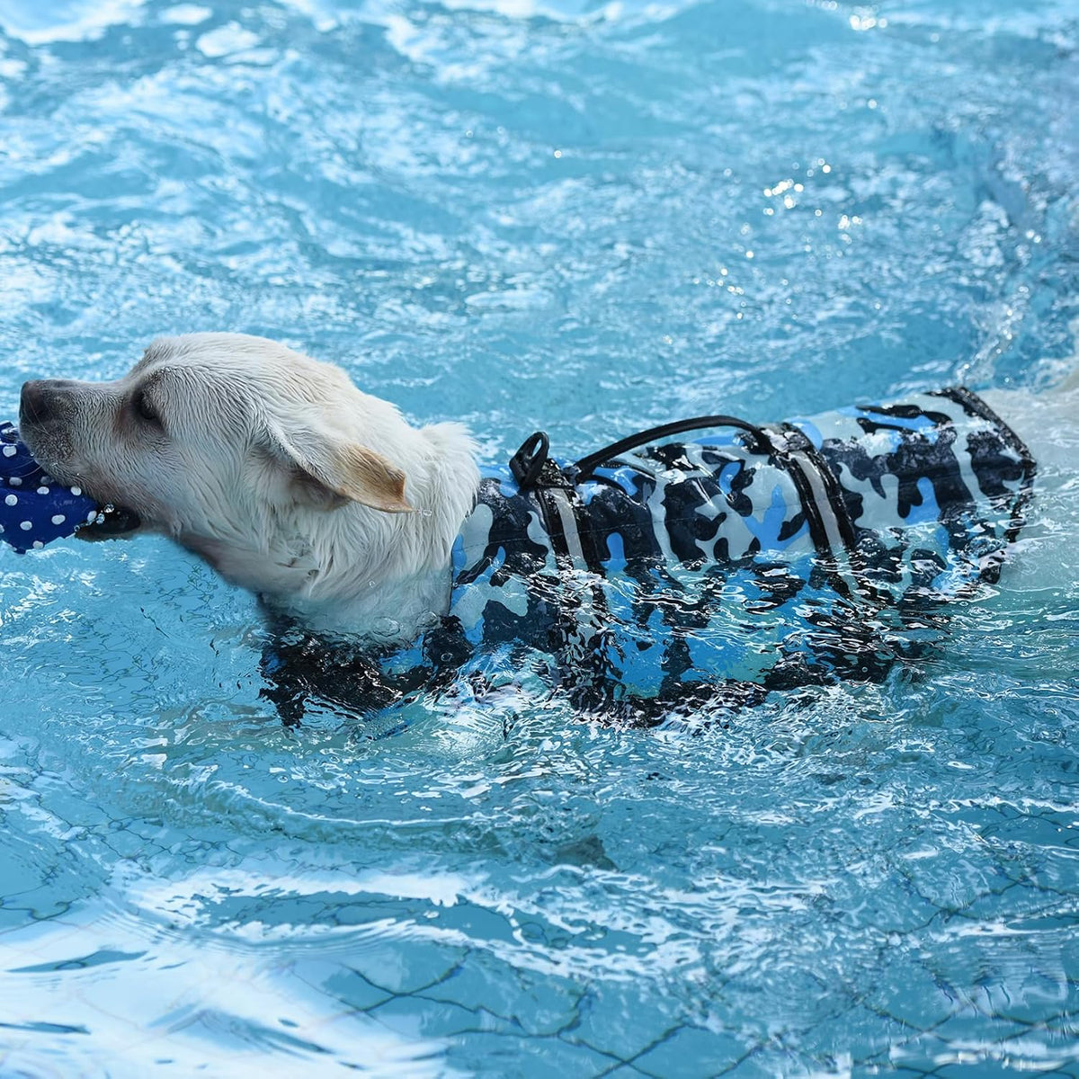 Dog Life Jacket with Rescue Handle, Dog Life Vest for Swimming Boating, Adjustable Reflective Puppy Swim Vest with Superior Buoyancy for Small Medium Large Dogs