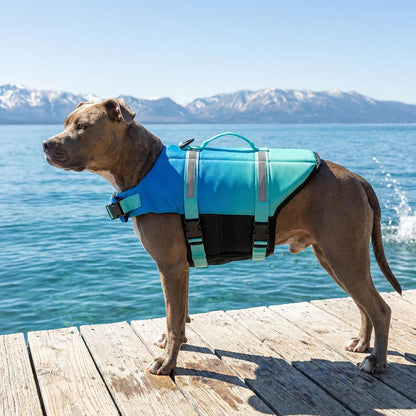 Dog Life Jacket with Rescue Handle, Dog Life Vest for Swimming Boating, Adjustable Reflective Puppy Swim Vest with Superior Buoyancy for Small Medium Large Dogs