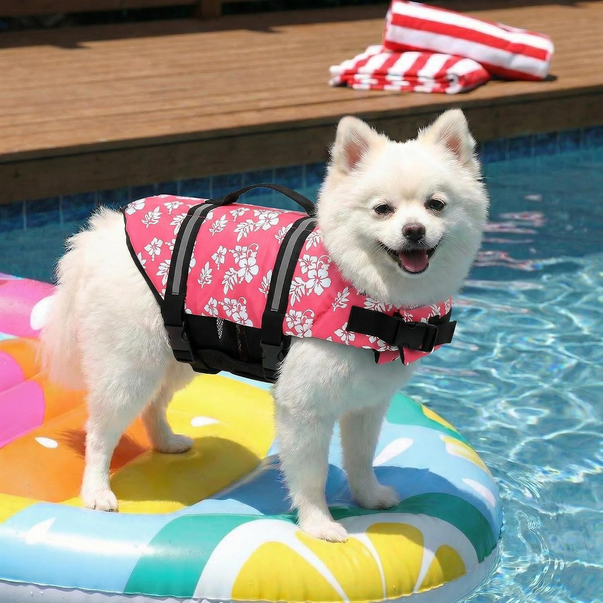 Dog Life Jacket with Rescue Handle, Dog Life Vest for Swimming Boating, Adjustable Reflective Puppy Swim Vest with Superior Buoyancy for Small Medium Large Dogs