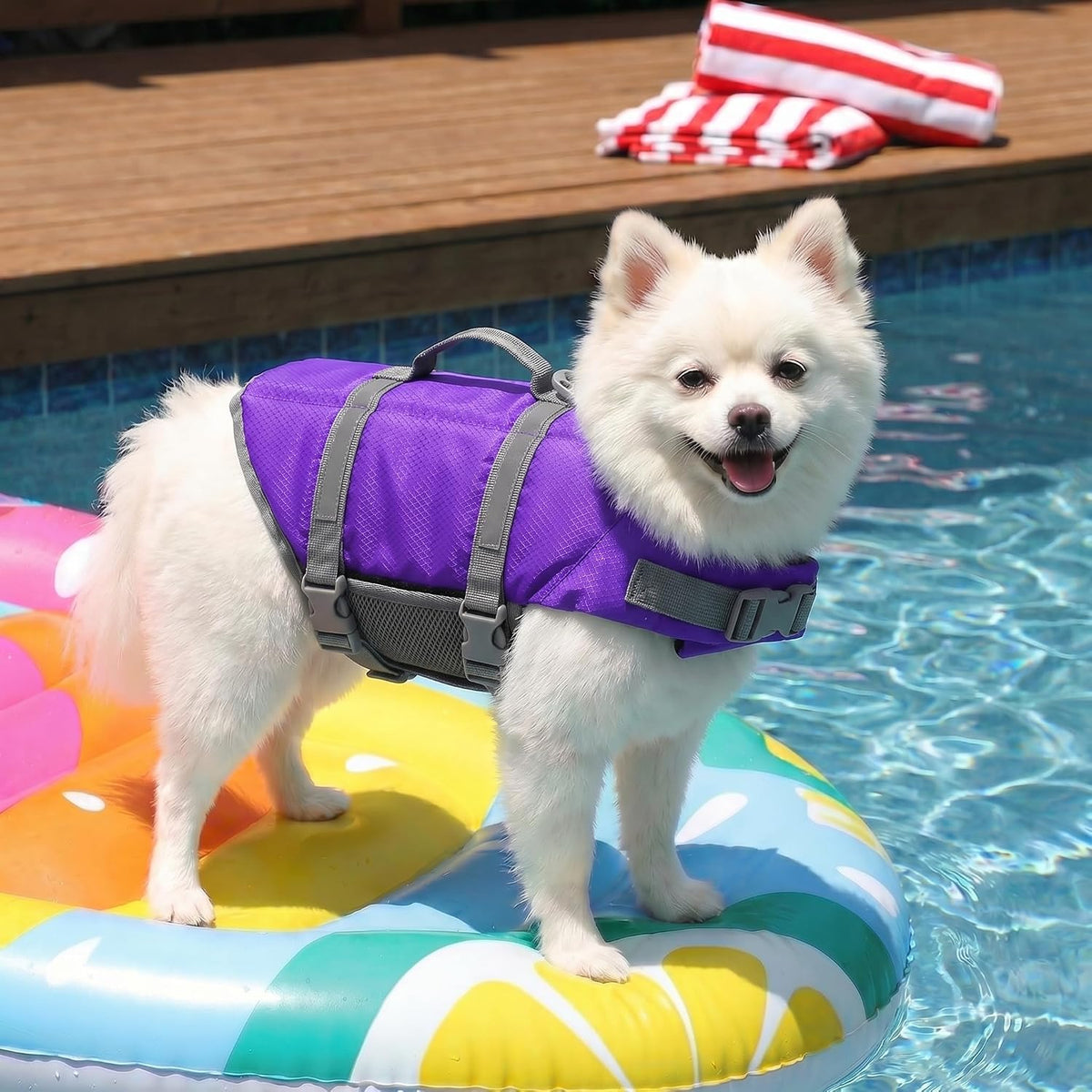 Dog Life Jacket with Rescue Handle, Dog Life Vest for Swimming Boating, Adjustable Reflective Puppy Swim Vest with Superior Buoyancy for Small Medium Large Dogs
