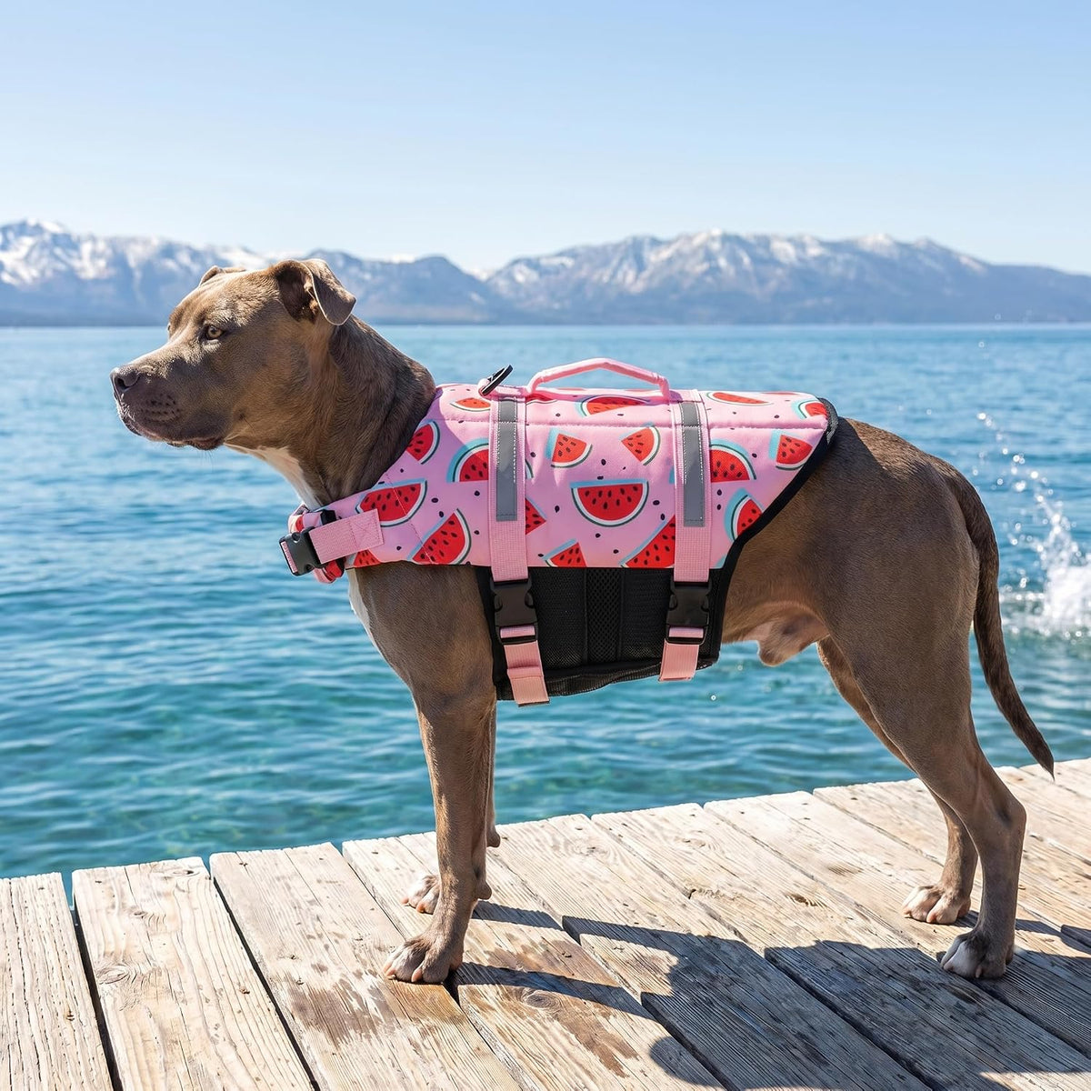 Dog Life Jacket with Rescue Handle, Dog Life Vest for Swimming Boating, Adjustable Reflective Puppy Swim Vest with Superior Buoyancy for Small Medium Large Dogs