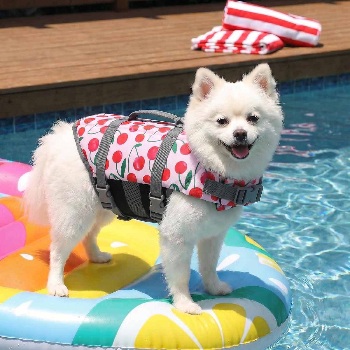 Dog Life Jacket with Rescue Handle, Dog Life Vest for Swimming Boating, Adjustable Reflective Puppy Swim Vest with Superior Buoyancy for Small Medium Large Dogs
