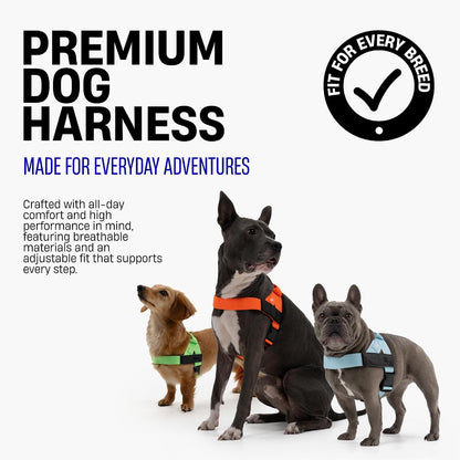 Co. Dog Harness for Medium Sized Dogs (Brown, Medium) | One Click Buckle, Chafe Resistant Webbing, Adjustable Neck & Chest, and Heavy Duty D-Ring, Sturdy Comfortable and Easy to Use