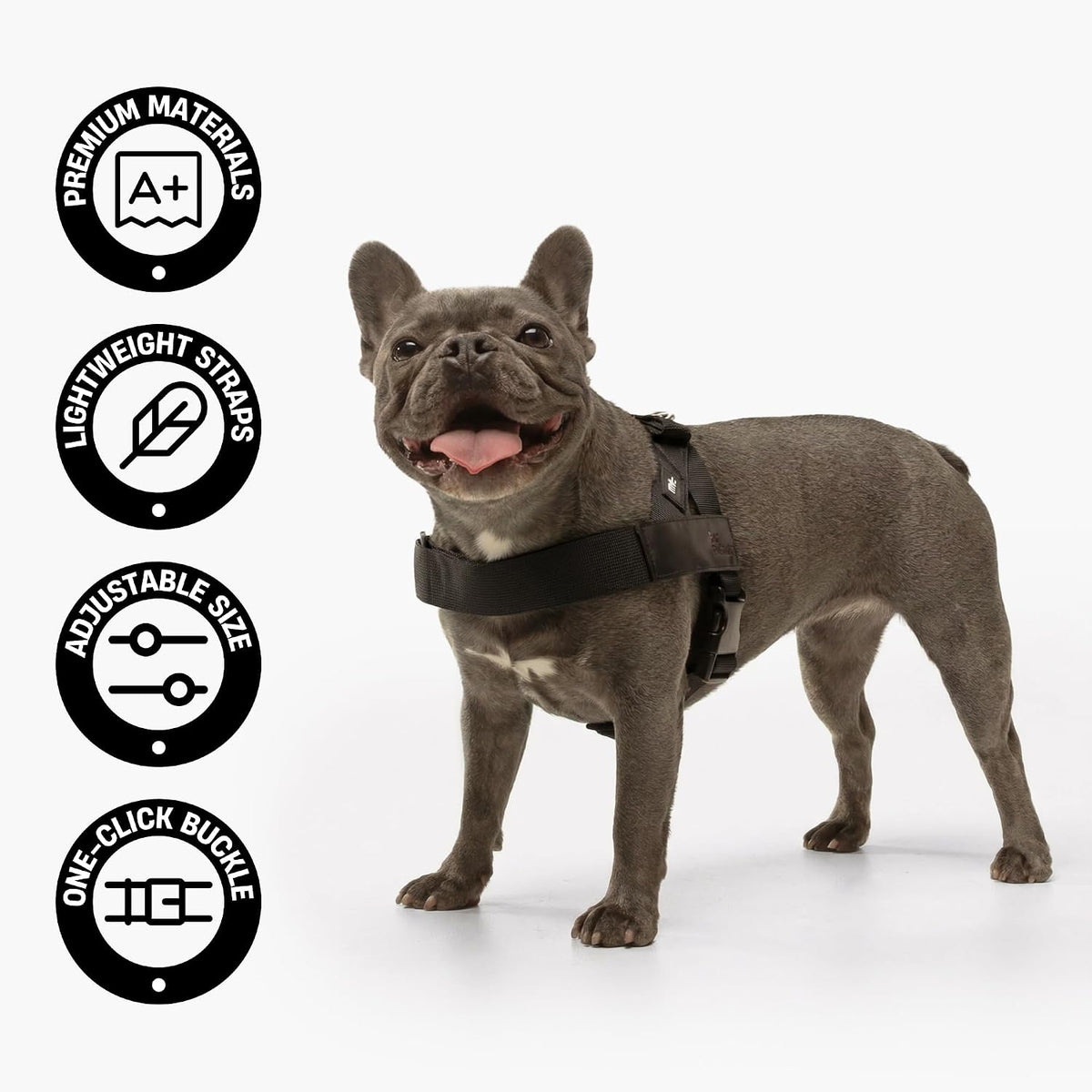 Co. Dog Harness for Medium Sized Dogs (Brown, Medium) | One Click Buckle, Chafe Resistant Webbing, Adjustable Neck & Chest, and Heavy Duty D-Ring, Sturdy Comfortable and Easy to Use