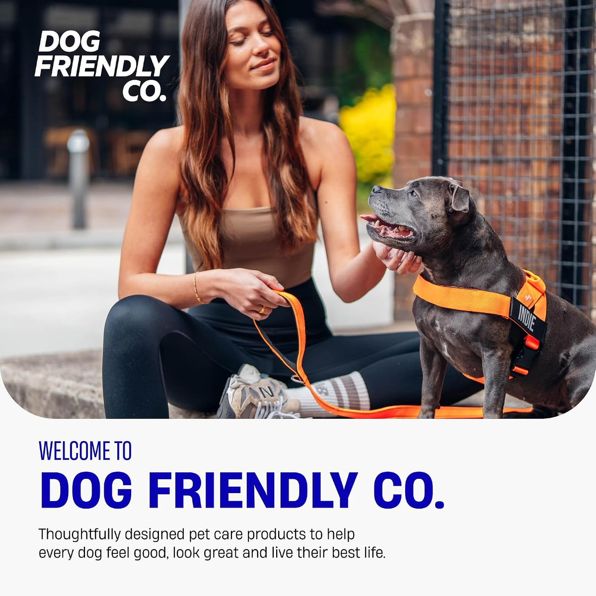 Co. Dog Harness for Medium Sized Dogs (Brown, Medium) | One Click Buckle, Chafe Resistant Webbing, Adjustable Neck & Chest, and Heavy Duty D-Ring, Sturdy Comfortable and Easy to Use