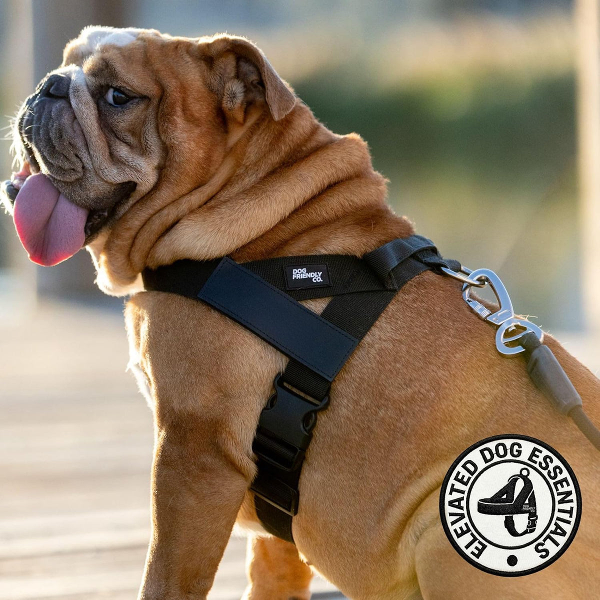 Co. Dog Harness for Medium Sized Dogs (Brown, Medium) | One Click Buckle, Chafe Resistant Webbing, Adjustable Neck & Chest, and Heavy Duty D-Ring, Sturdy Comfortable and Easy to Use