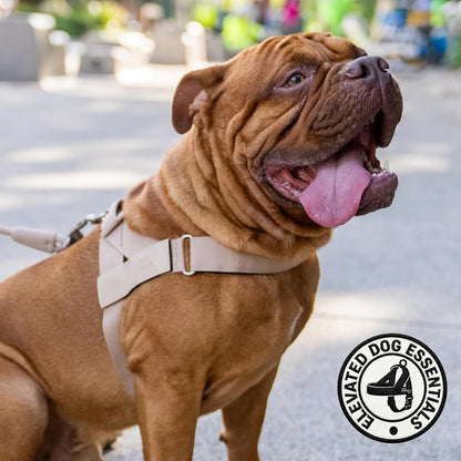 Co. Dog Harness for Medium Sized Dogs (Brown, Medium) | One Click Buckle, Chafe Resistant Webbing, Adjustable Neck & Chest, and Heavy Duty D-Ring, Sturdy Comfortable and Easy to Use