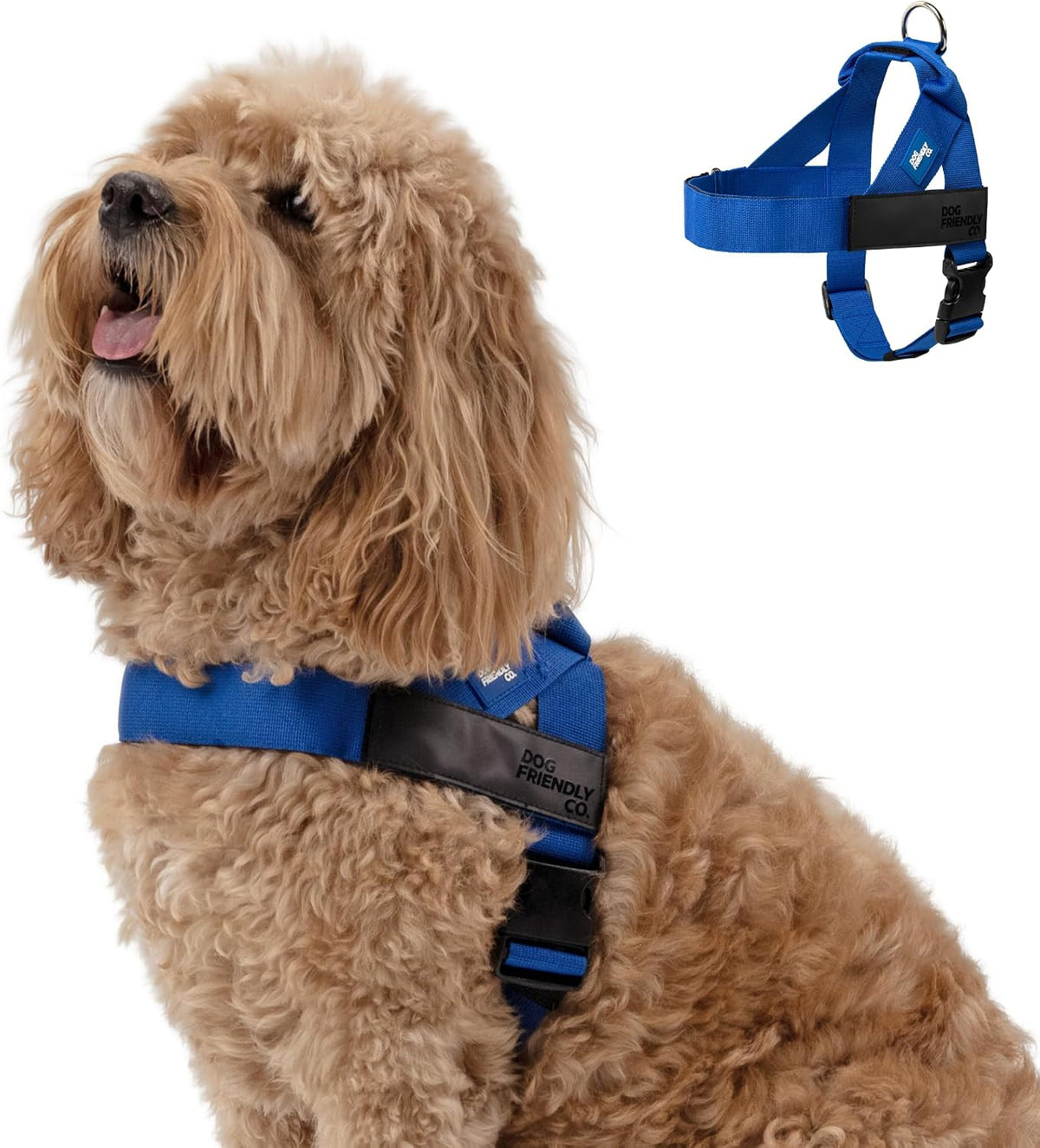 Co. Dog Harness for Medium Sized Dogs (Brown, Medium) | One Click Buckle, Chafe Resistant Webbing, Adjustable Neck & Chest, and Heavy Duty D-Ring, Sturdy Comfortable and Easy to Use