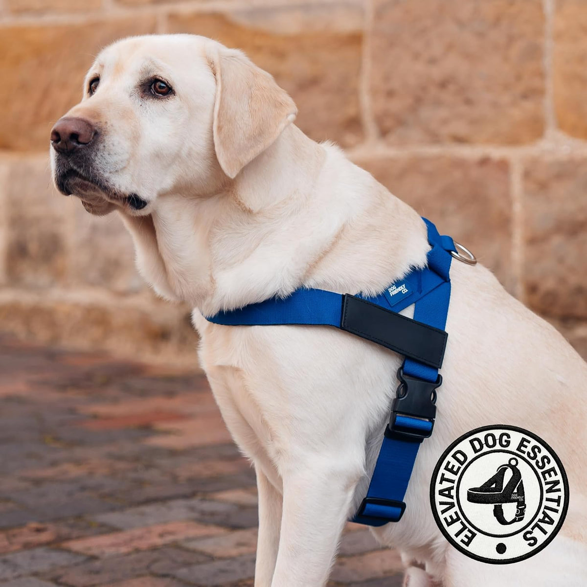 Co. Dog Harness for Medium Sized Dogs (Brown, Medium) | One Click Buckle, Chafe Resistant Webbing, Adjustable Neck & Chest, and Heavy Duty D-Ring, Sturdy Comfortable and Easy to Use