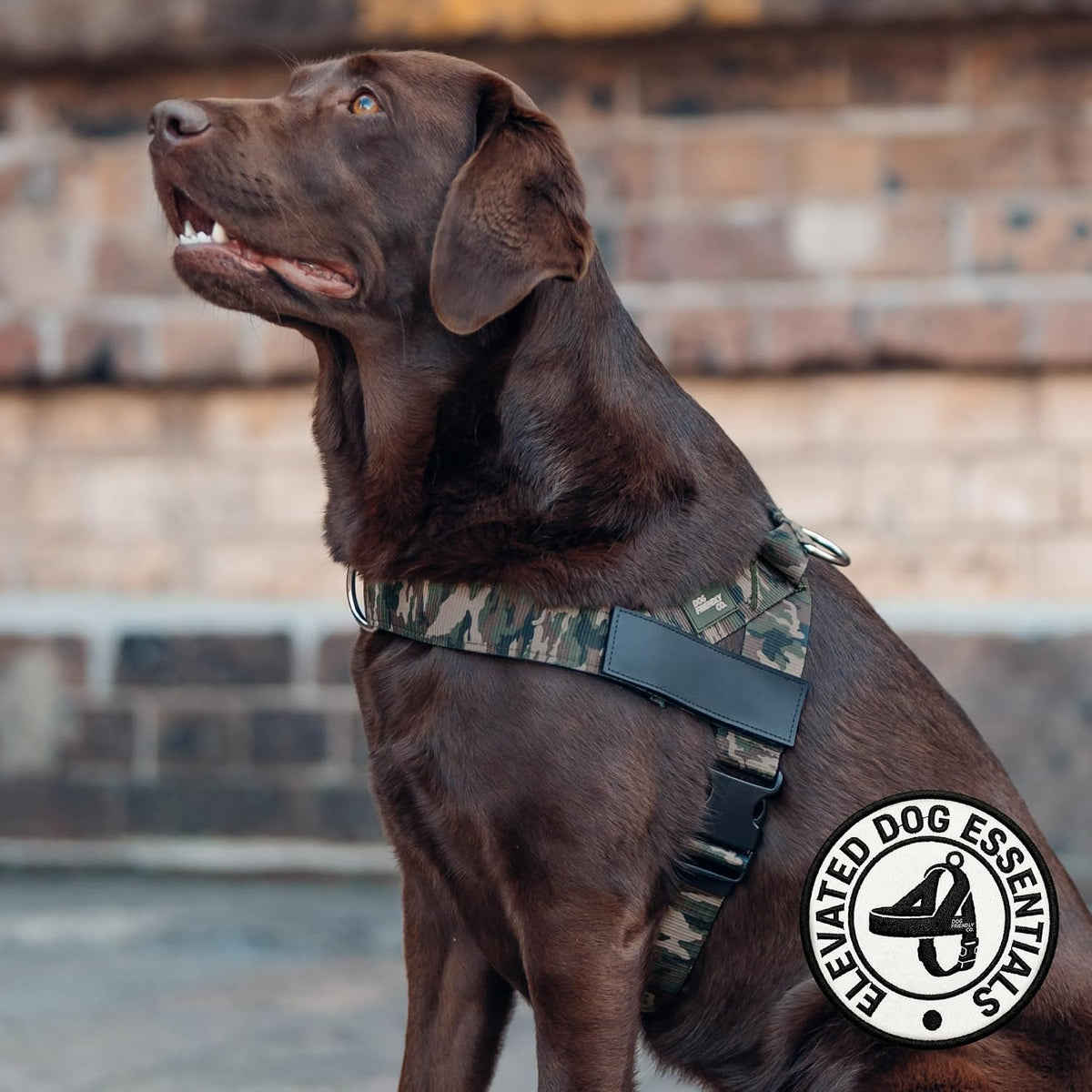 Co. Dog Harness for Medium Sized Dogs (Brown, Medium) | One Click Buckle, Chafe Resistant Webbing, Adjustable Neck & Chest, and Heavy Duty D-Ring, Sturdy Comfortable and Easy to Use