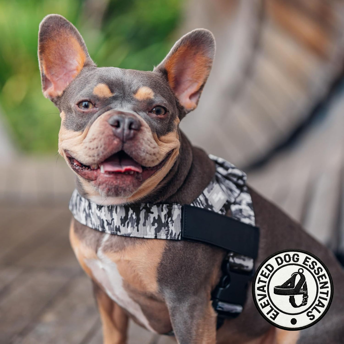 Co. Dog Harness for Medium Sized Dogs (Brown, Medium) | One Click Buckle, Chafe Resistant Webbing, Adjustable Neck & Chest, and Heavy Duty D-Ring, Sturdy Comfortable and Easy to Use