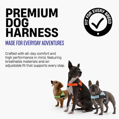 Co. Dog Harness for Medium Sized Dogs (Brown, Medium) | One Click Buckle, Chafe Resistant Webbing, Adjustable Neck & Chest, and Heavy Duty D-Ring, Sturdy Comfortable and Easy to Use