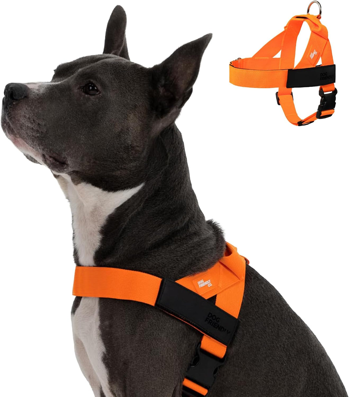 Co. Dog Harness for Medium Sized Dogs (Brown, Medium) | One Click Buckle, Chafe Resistant Webbing, Adjustable Neck & Chest, and Heavy Duty D-Ring, Sturdy Comfortable and Easy to Use