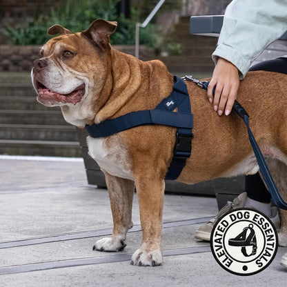 Co. Dog Harness for Medium Sized Dogs (Brown, Medium) | One Click Buckle, Chafe Resistant Webbing, Adjustable Neck & Chest, and Heavy Duty D-Ring, Sturdy Comfortable and Easy to Use
