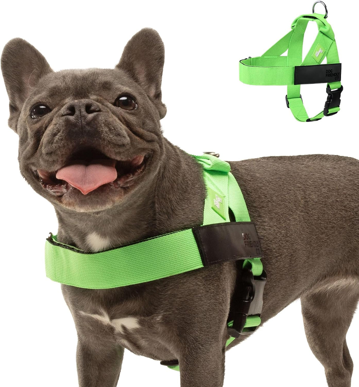 Co. Dog Harness for Medium Sized Dogs (Brown, Medium) | One Click Buckle, Chafe Resistant Webbing, Adjustable Neck & Chest, and Heavy Duty D-Ring, Sturdy Comfortable and Easy to Use