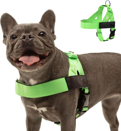 Co. Dog Harness for Medium Sized Dogs (Brown, Medium) | One Click Buckle, Chafe Resistant Webbing, Adjustable Neck & Chest, and Heavy Duty D-Ring, Sturdy Comfortable and Easy to Use