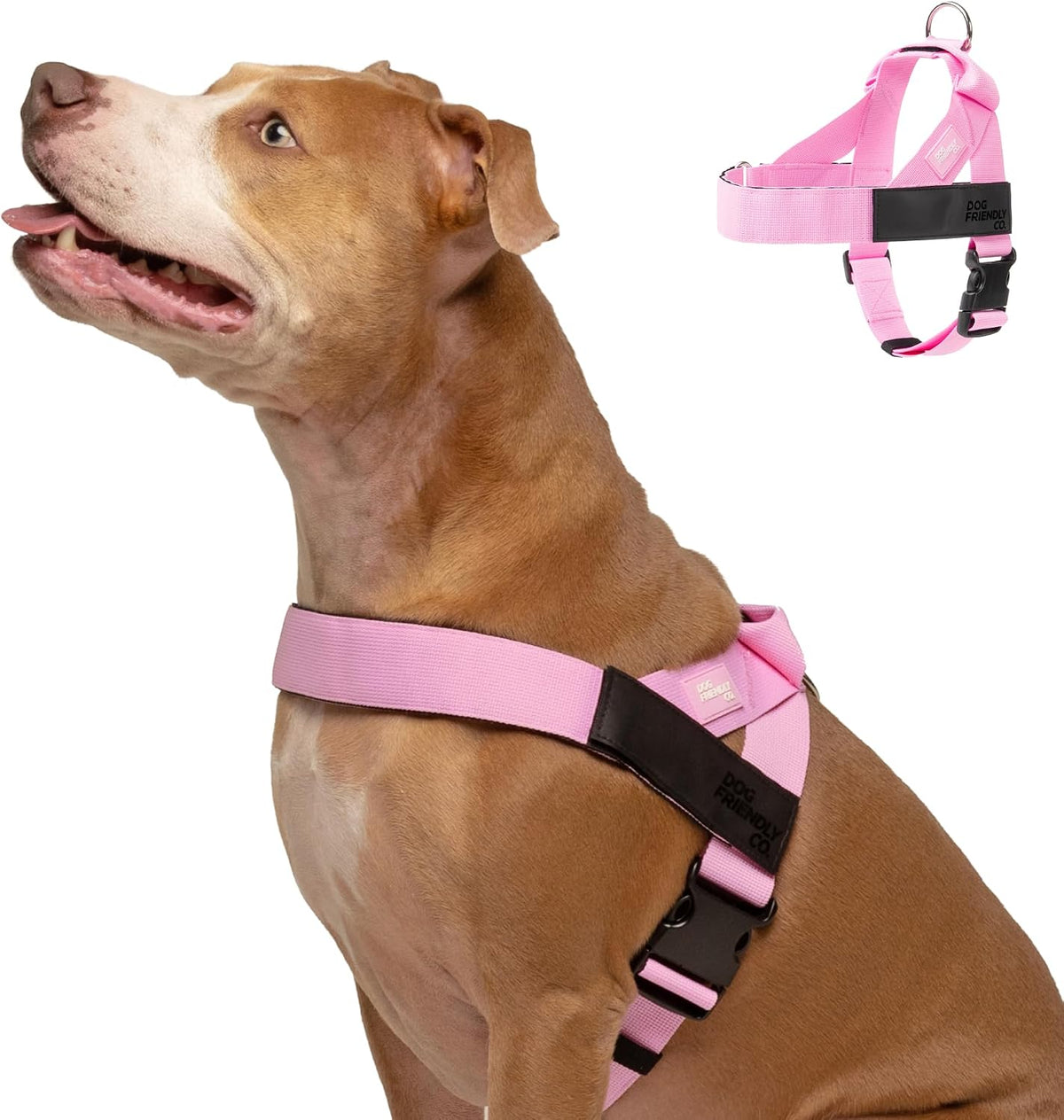 Co. Dog Harness for Medium Sized Dogs (Brown, Medium) | One Click Buckle, Chafe Resistant Webbing, Adjustable Neck & Chest, and Heavy Duty D-Ring, Sturdy Comfortable and Easy to Use