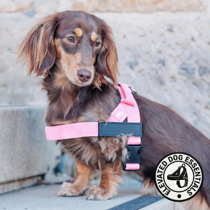 Co. Dog Harness for Medium Sized Dogs (Brown, Medium) | One Click Buckle, Chafe Resistant Webbing, Adjustable Neck & Chest, and Heavy Duty D-Ring, Sturdy Comfortable and Easy to Use