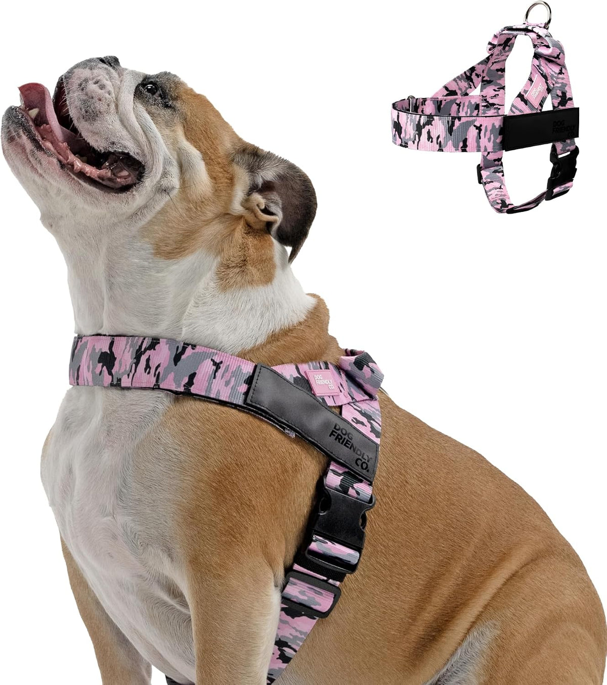 Co. Dog Harness for Medium Sized Dogs (Brown, Medium) | One Click Buckle, Chafe Resistant Webbing, Adjustable Neck & Chest, and Heavy Duty D-Ring, Sturdy Comfortable and Easy to Use