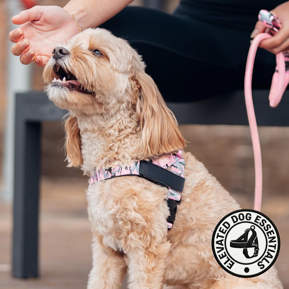 Co. Dog Harness for Medium Sized Dogs (Brown, Medium) | One Click Buckle, Chafe Resistant Webbing, Adjustable Neck & Chest, and Heavy Duty D-Ring, Sturdy Comfortable and Easy to Use
