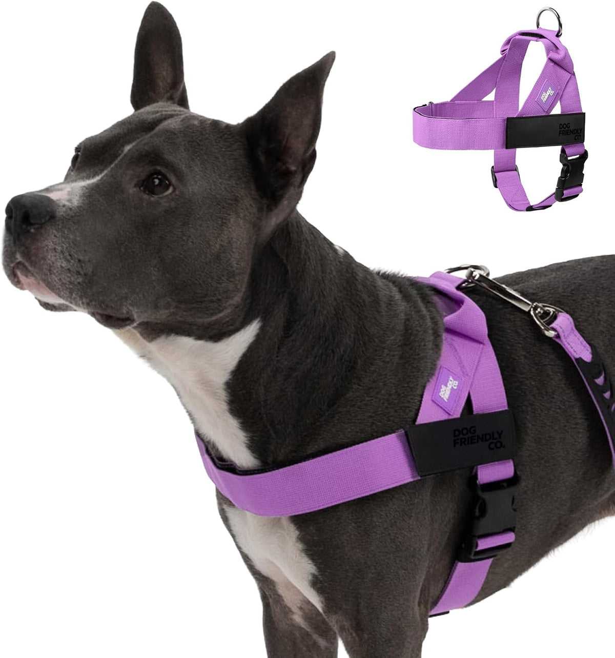 Co. Dog Harness for Medium Sized Dogs (Brown, Medium) | One Click Buckle, Chafe Resistant Webbing, Adjustable Neck & Chest, and Heavy Duty D-Ring, Sturdy Comfortable and Easy to Use