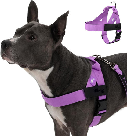 Co. Dog Harness for Medium Sized Dogs (Brown, Medium) | One Click Buckle, Chafe Resistant Webbing, Adjustable Neck & Chest, and Heavy Duty D-Ring, Sturdy Comfortable and Easy to Use