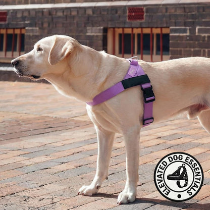 Co. Dog Harness for Medium Sized Dogs (Brown, Medium) | One Click Buckle, Chafe Resistant Webbing, Adjustable Neck & Chest, and Heavy Duty D-Ring, Sturdy Comfortable and Easy to Use