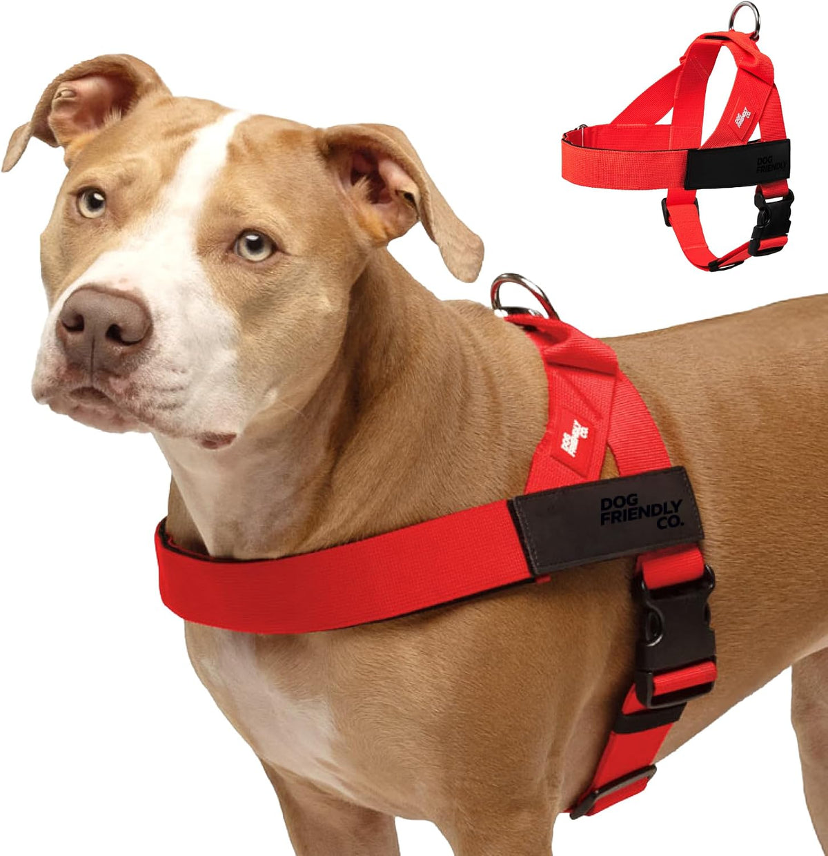 Co. Dog Harness for Medium Sized Dogs (Brown, Medium) | One Click Buckle, Chafe Resistant Webbing, Adjustable Neck & Chest, and Heavy Duty D-Ring, Sturdy Comfortable and Easy to Use