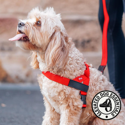 Co. Dog Harness for Medium Sized Dogs (Brown, Medium) | One Click Buckle, Chafe Resistant Webbing, Adjustable Neck & Chest, and Heavy Duty D-Ring, Sturdy Comfortable and Easy to Use