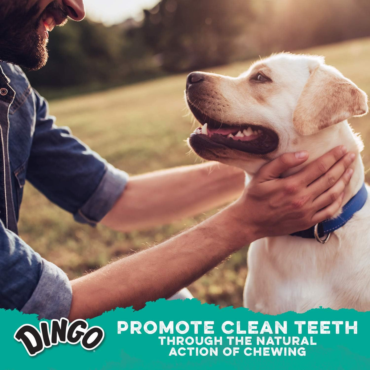 Dental Sticks Dog Treats With Real Chicken & Parsley