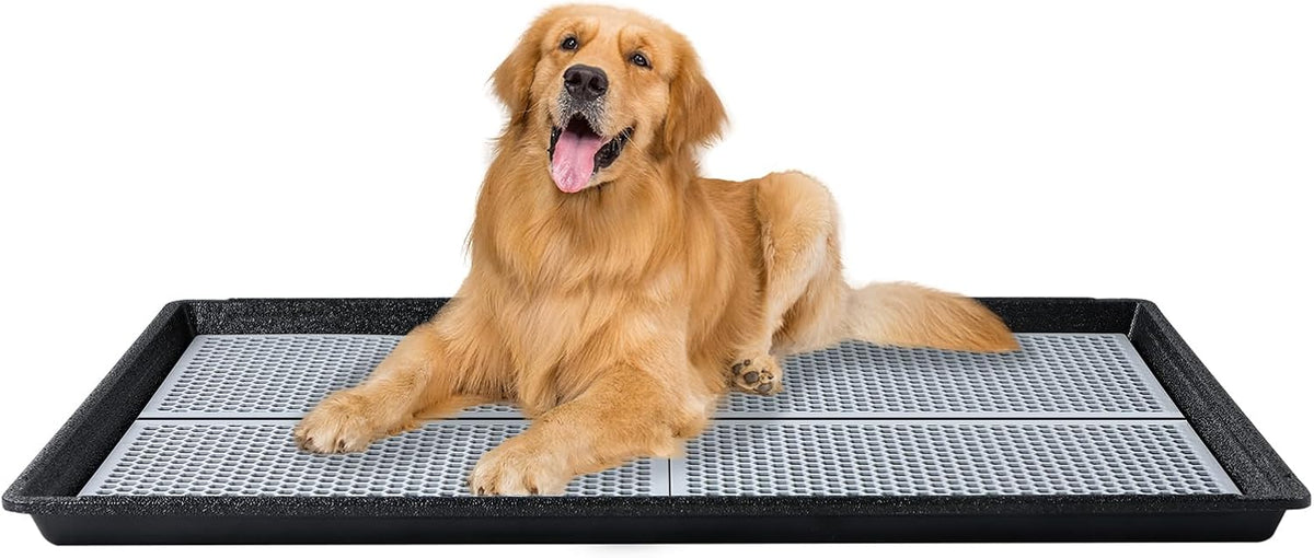 HQ4us Dog Pee Pad Holder Tray with Grate 34”×23”, Large Dog Litter Box Toilet, Puppy Pee Pad Holder, Less Mess, Dog Potty Indoor Outdoor for Balcony