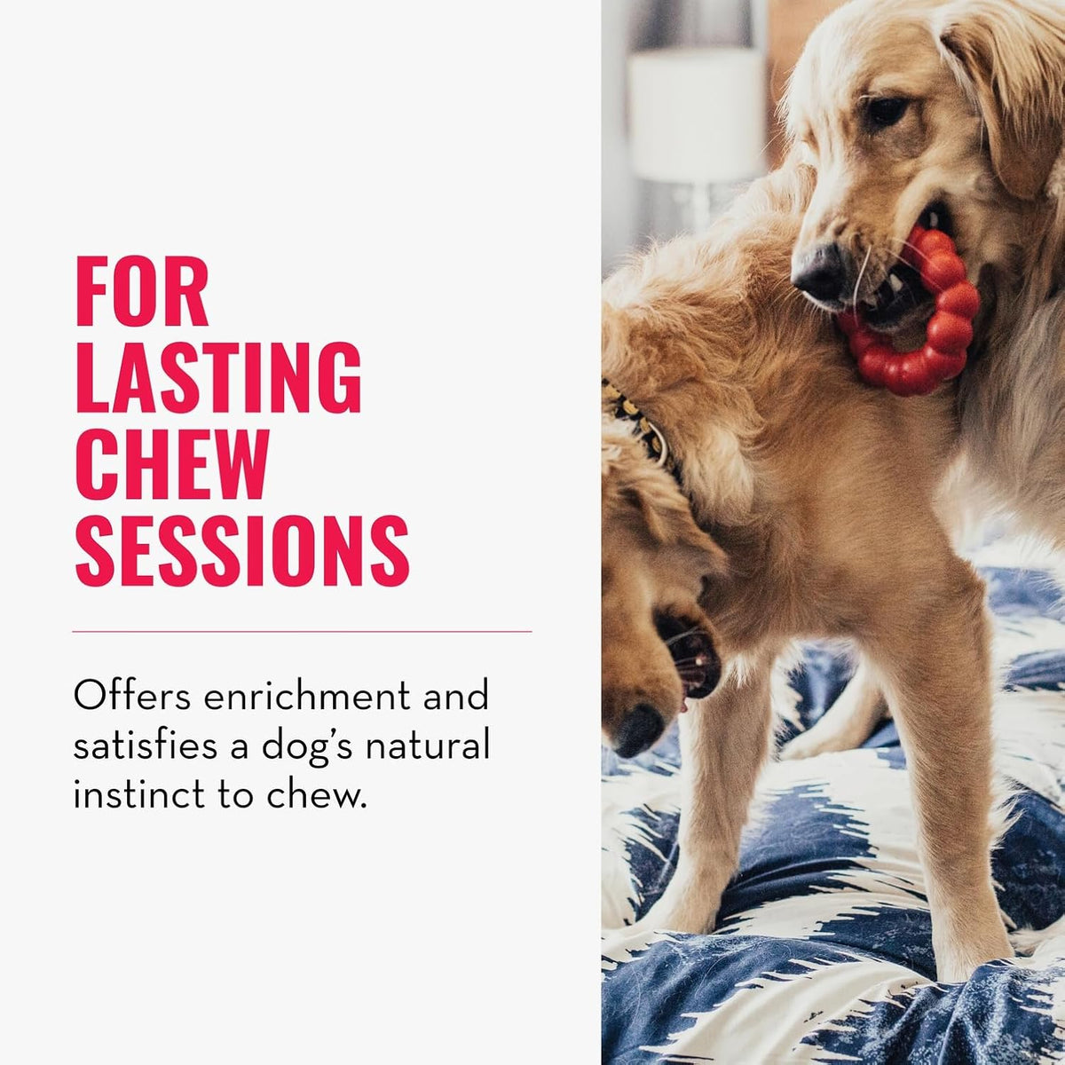 Ring, Natural Rubber Chew Toy for Dental Health, for Medium/Large Dogs