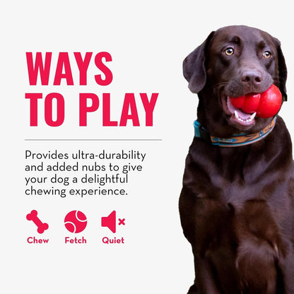 Ring, Natural Rubber Chew Toy for Dental Health, for Medium/Large Dogs