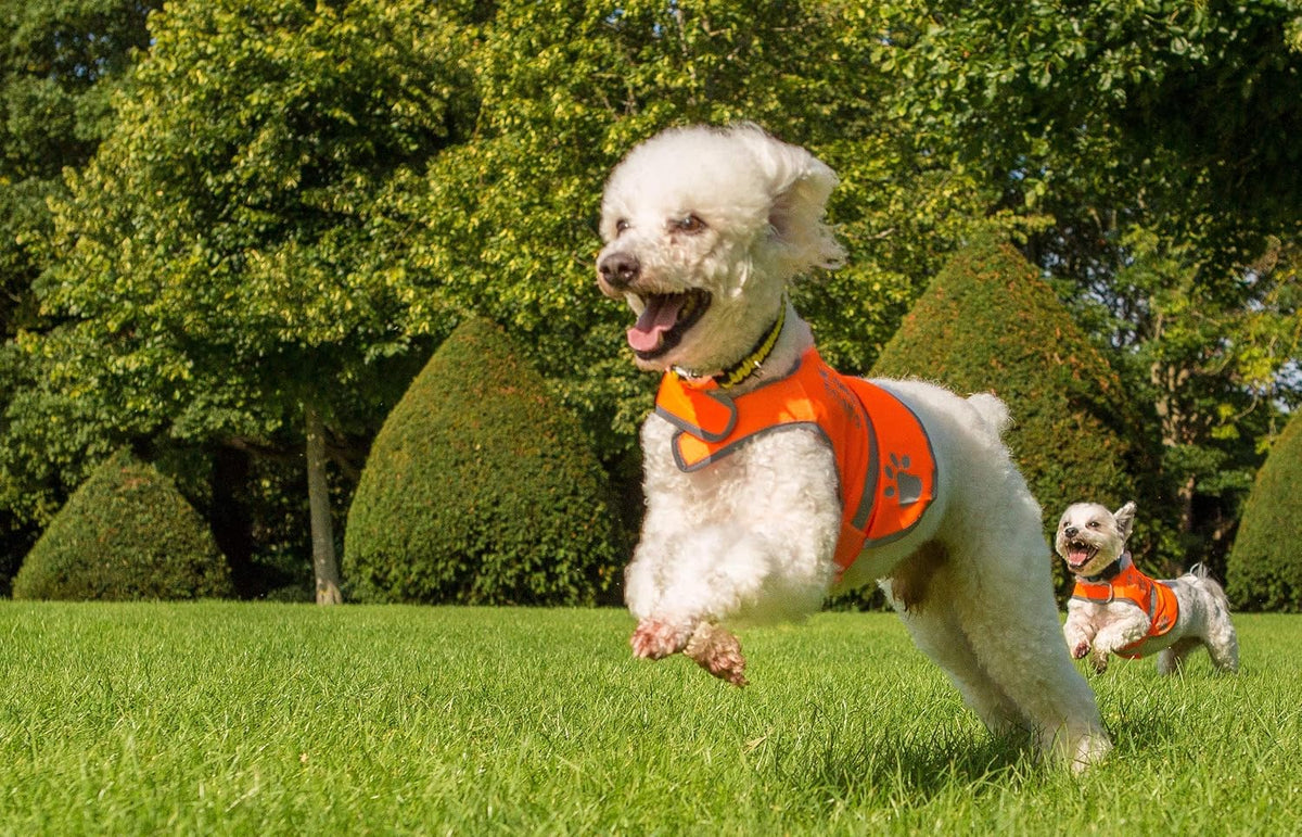 Reflective Dog Vest. Hi-Visibility, Blaze Orange Oxford 300D Waterproof Dog Vest Helps Protect Your Best Friend. Safeguard Your PUP from Motorists & Hunting Accidents, On or Off Leash