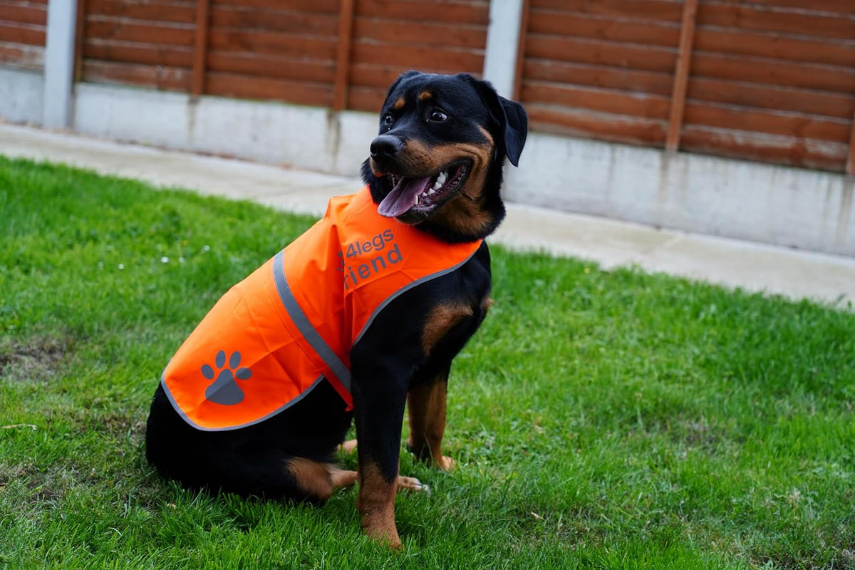 Reflective Dog Vest. Hi-Visibility, Blaze Orange Oxford 300D Waterproof Dog Vest Helps Protect Your Best Friend. Safeguard Your PUP from Motorists & Hunting Accidents, On or Off Leash