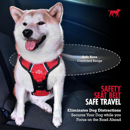 Dog Seat Belt | Adjustable Length Dog Seatbelt Restraint | Tangle-Free Locking Carabiner | Shock-Absorbing Bungee | Reflective Stitching for Visibility | Universal Fit for Cars & Trucks