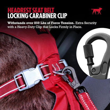 Dog Seat Belt | Adjustable Length Dog Seatbelt Restraint | Tangle-Free Locking Carabiner | Shock-Absorbing Bungee | Reflective Stitching for Visibility | Universal Fit for Cars & Trucks