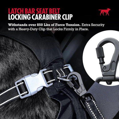 Dog Seat Belt | Adjustable Length Dog Seatbelt Restraint | Tangle-Free Locking Carabiner | Shock-Absorbing Bungee | Reflective Stitching for Visibility | Universal Fit for Cars & Trucks