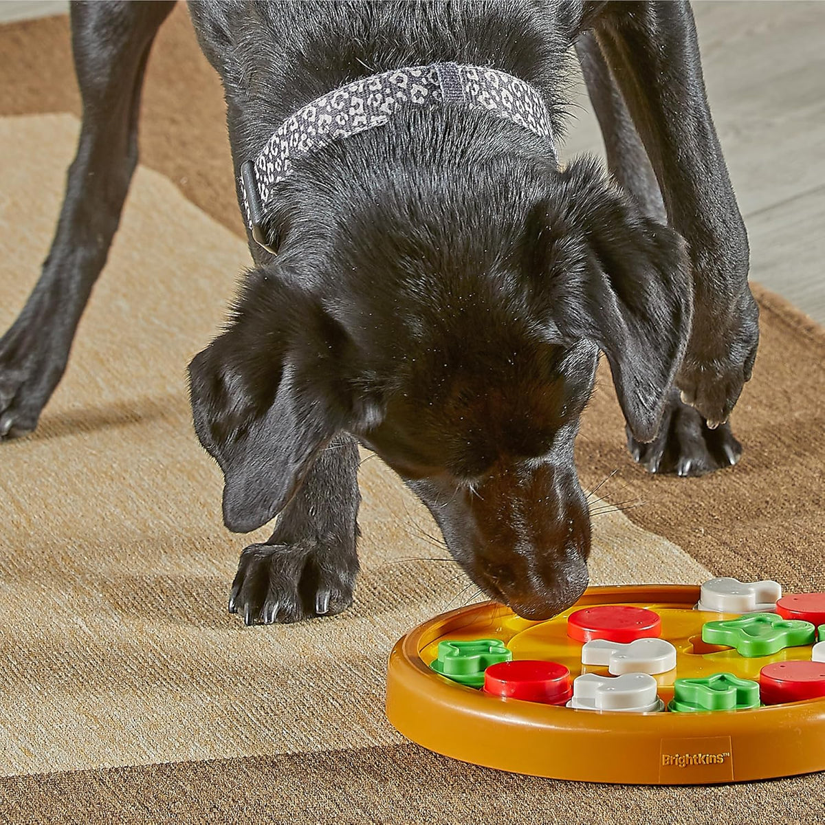 Learning Resources Pizza Party Treat Puzzle