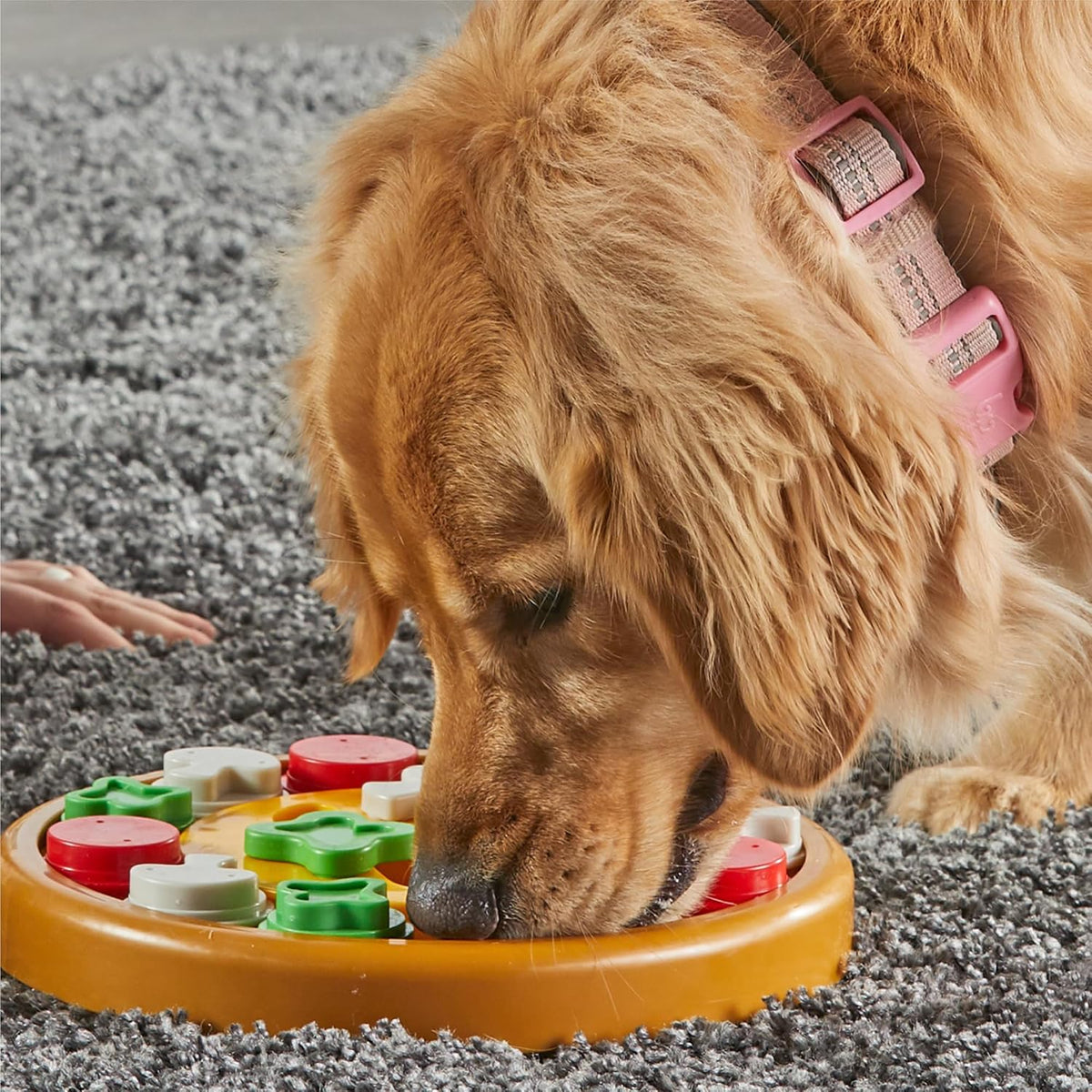 Learning Resources Pizza Party Treat Puzzle