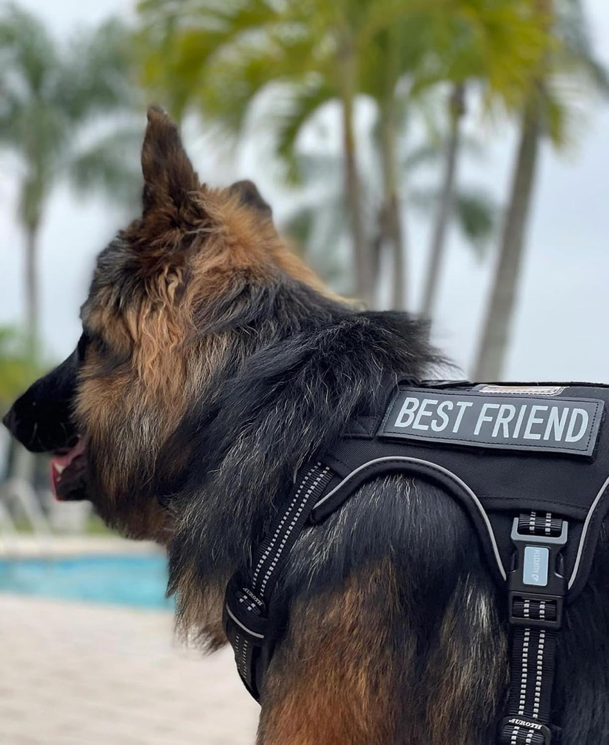Auroth Tactical Dog Harness for Large Dogs No Pull Adjustable Pet Harness Reflective K9 Working Training Easy Control Pet Vest Military Service Dog Harnesses Army Yellow L | Easy Control with handle, Adjustable, Reflective, Military K9, for German