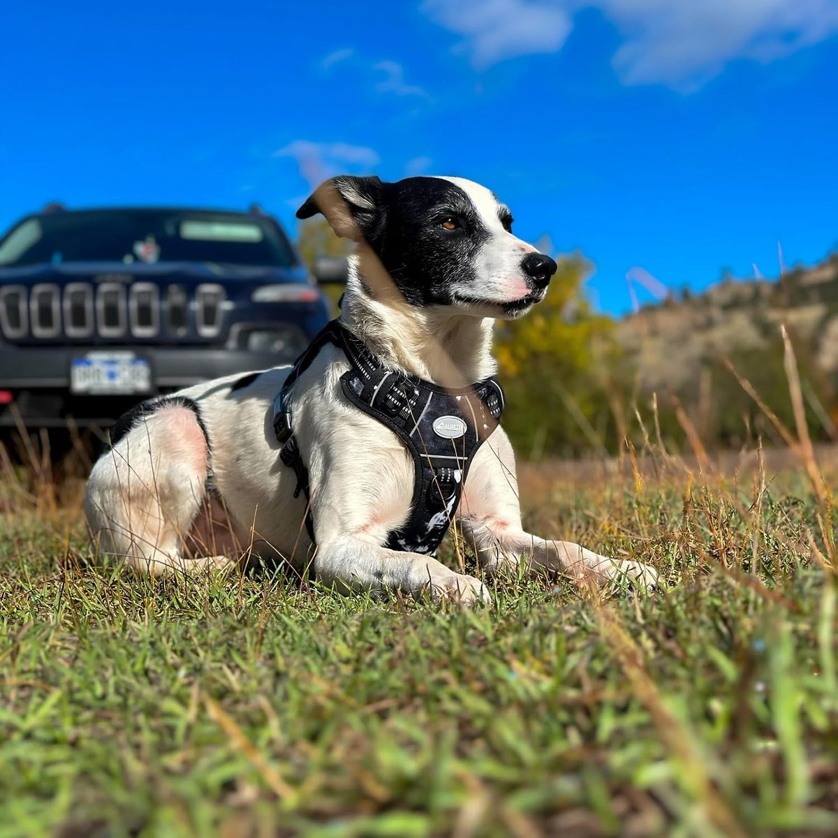 Auroth Tactical Dog Harness for Large Dogs No Pull Adjustable Pet Harness Reflective K9 Working Training Easy Control Pet Vest Military Service Dog Harnesses Army Yellow L | Easy Control with handle, Adjustable, Reflective, Military K9, for German